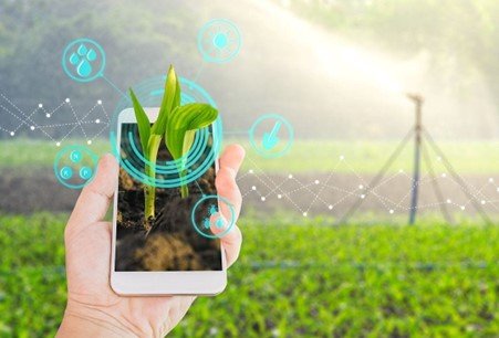 Google Ekspansi Teknologi API